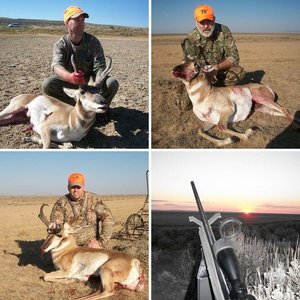 2012 Wyoming antelope