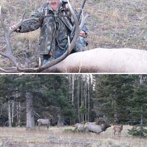 elk hunt 2012