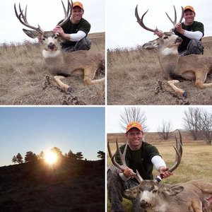 ND Mule Deer 2008