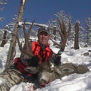 Montana Muley