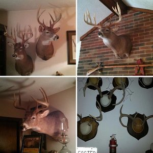 Some of my mount pics. . . .