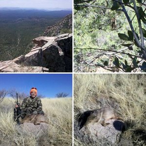Javelina Hunting With My Big Brother