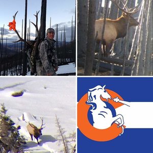 Backcountry Elk hunts