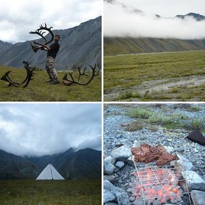 DIY Caribou 2010