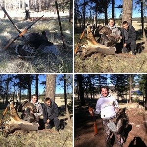 2014 Turkey hunt