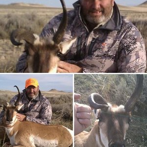 Wyoming Antelope 2014