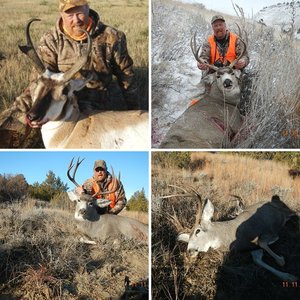 2015 hunts