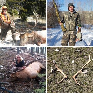 Hunting and Wildlife