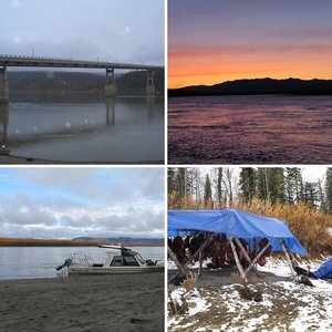 2010 Koyukuk Moose hunt