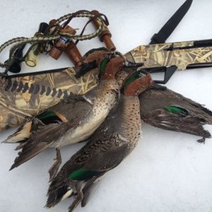 Small Game Photos