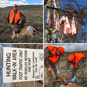 2016 Wyoming Antelope Hunt
