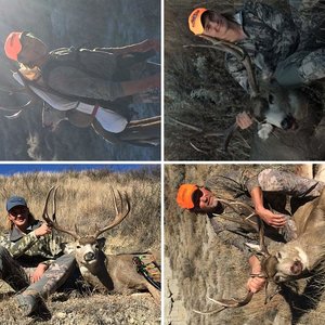 2016 public land hunts