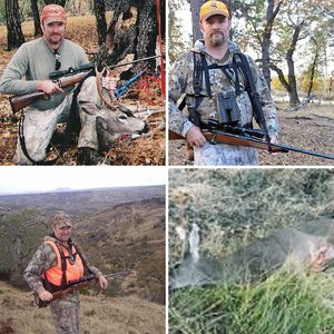 CA Blacktail Hunts