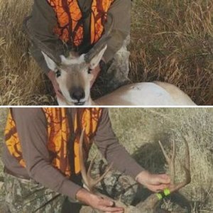 2016 Wyoming hunt