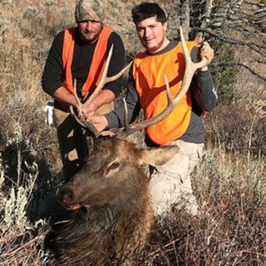 Montana PL elk