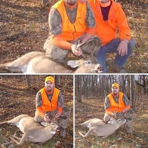 2009 Minnesota Deer