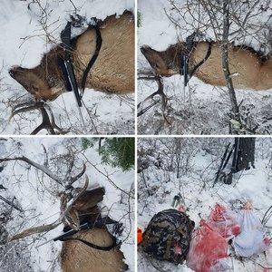 2017 Public Land Solo Elk Hunt