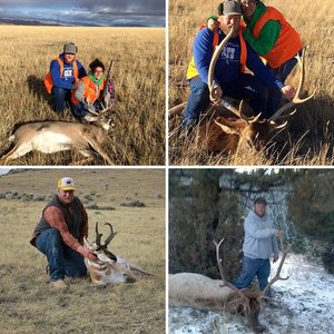 Hunting and trapping