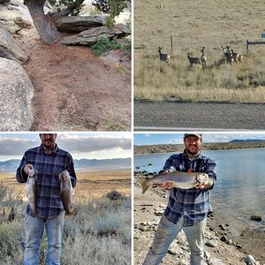 WY Antelope 2017