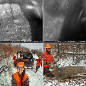 "The Sausage Buck." Story in Blog.