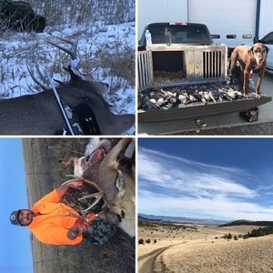 Hunting and Fishing 2018