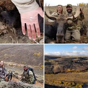 Wife's Utah Moose Hunt
