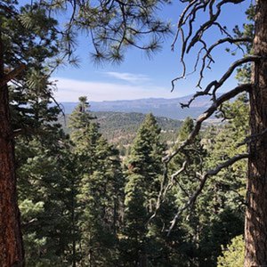 Bets unit in Wyoming for elk