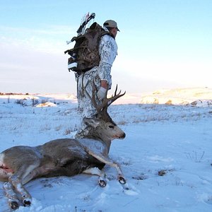 2008 ND Archery Mulie