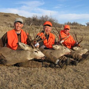 2008 ND Rifle Mulies

Greg, Bruce (Father) and Kirby