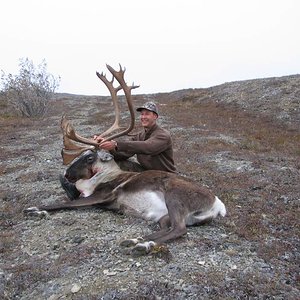 2005 Caribou 1