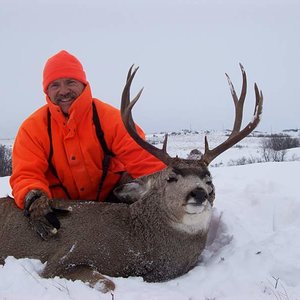 Dads ND Mule Deer