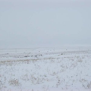 in 2009 is snowed like crazy in MT