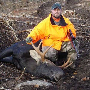 I took this bull on Oct 5, 2006 near Finland, MN. I drew the tag for area 31 on my first time applying.