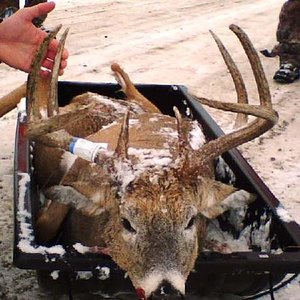 Jason Deer.jpg