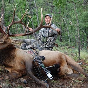 2009 AZ Bull