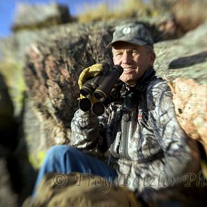 glassing in CO for bighorn sheep