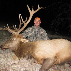 2009 NM Elk