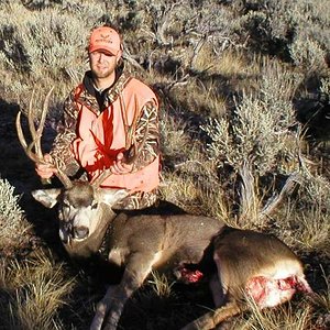 2006 Colorado Mule Deer