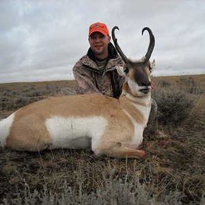 2009 SD Antelope