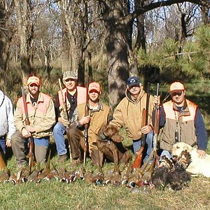 Father-Son ND pheasant-turkey hunt 2006