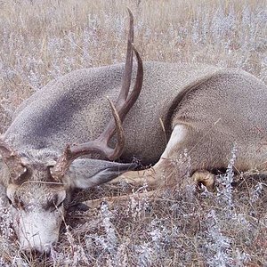 2009 nd mule deer hunt 055gooddad