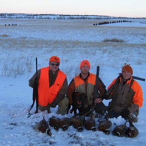 ND 08 Pheasant 022