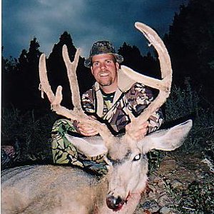 Utah Buck