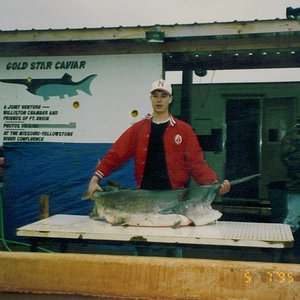 1995 paddlefish