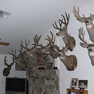 Trophy Room 2010 002