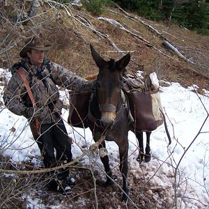 My son & one spike elk boned and packed up