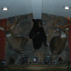 05' Rifle 8 Point - 05' Archery Bear - 02' Archery 8 Point