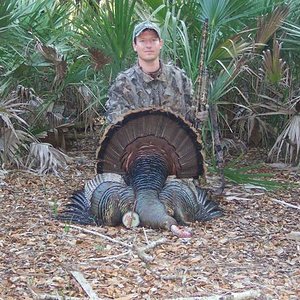 Osceola - Florida