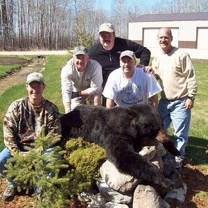 Black Bear - Manitoba