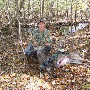Whitetail Deer - Maryland